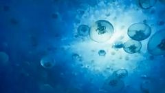 "Blue Planet II", o programa de televisão mais visto de 2017
