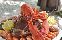 Swiss law bans boiling lobsters alive