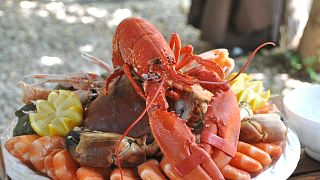 Swiss law bans boiling lobsters alive