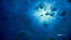 "Blue Planet II" ce la farà a conquistare l'America?