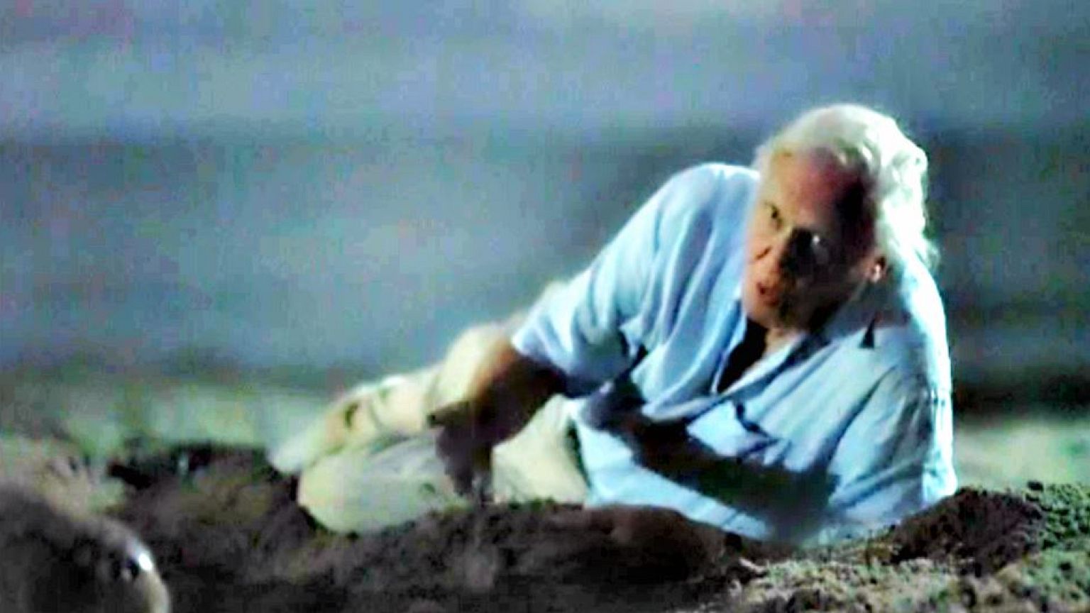 Töretlen Sir David Attenborough népszerűsége