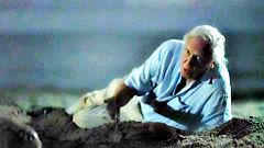 Töretlen Sir David Attenborough népszerűsége