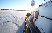 Deutsche Wirtschaft brummt - und will endlich eine neue Regierung