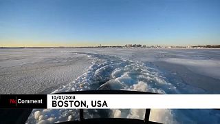 Boston Limanı'ndaki buzlar kırıldı