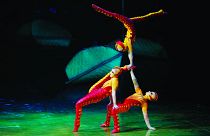 A bug's life: The Cirque du Soleil bring their latest show 'OVO' featuring a carnival of acrobatic insects, to London's Royal Albert Hall