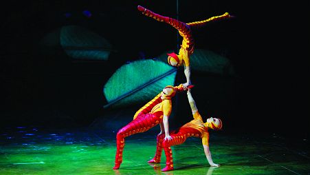 A bug's life: The Cirque du Soleil bring their latest show 'OVO' featuring a carnival of acrobatic insects, to London's Royal Albert Hall