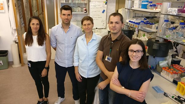 Reverter o envelhecimento celular Reverter o envelhecimento celular