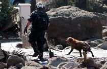 Kalifornien: Suche nach Vermissten in Schlammlawinen