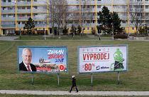 Çek seçmen cumhurbaşkanını seçiyor