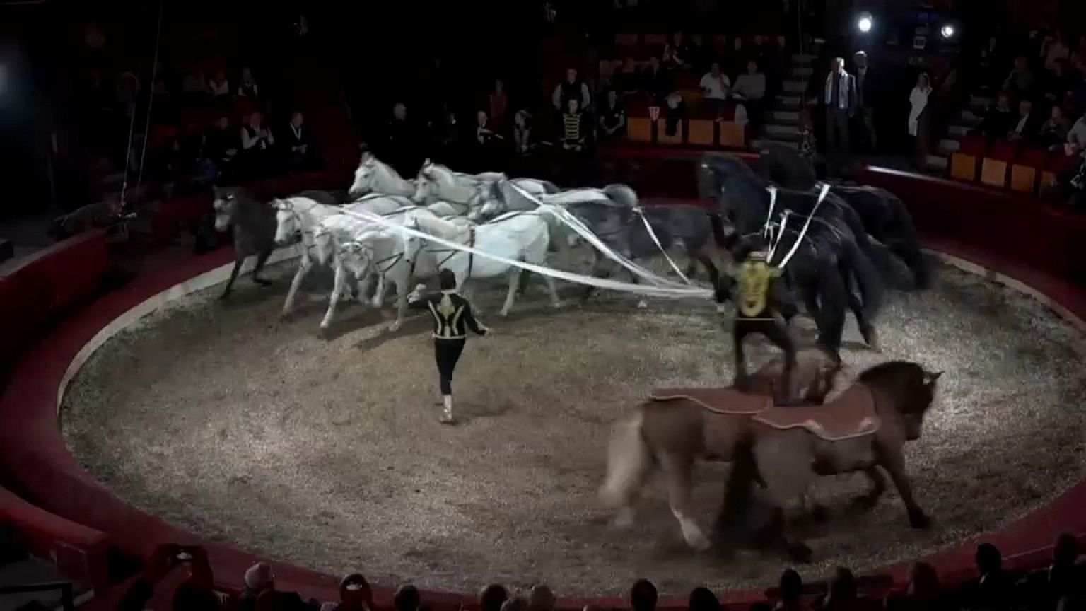 Circos de todo el mundo reunidos en Budapest