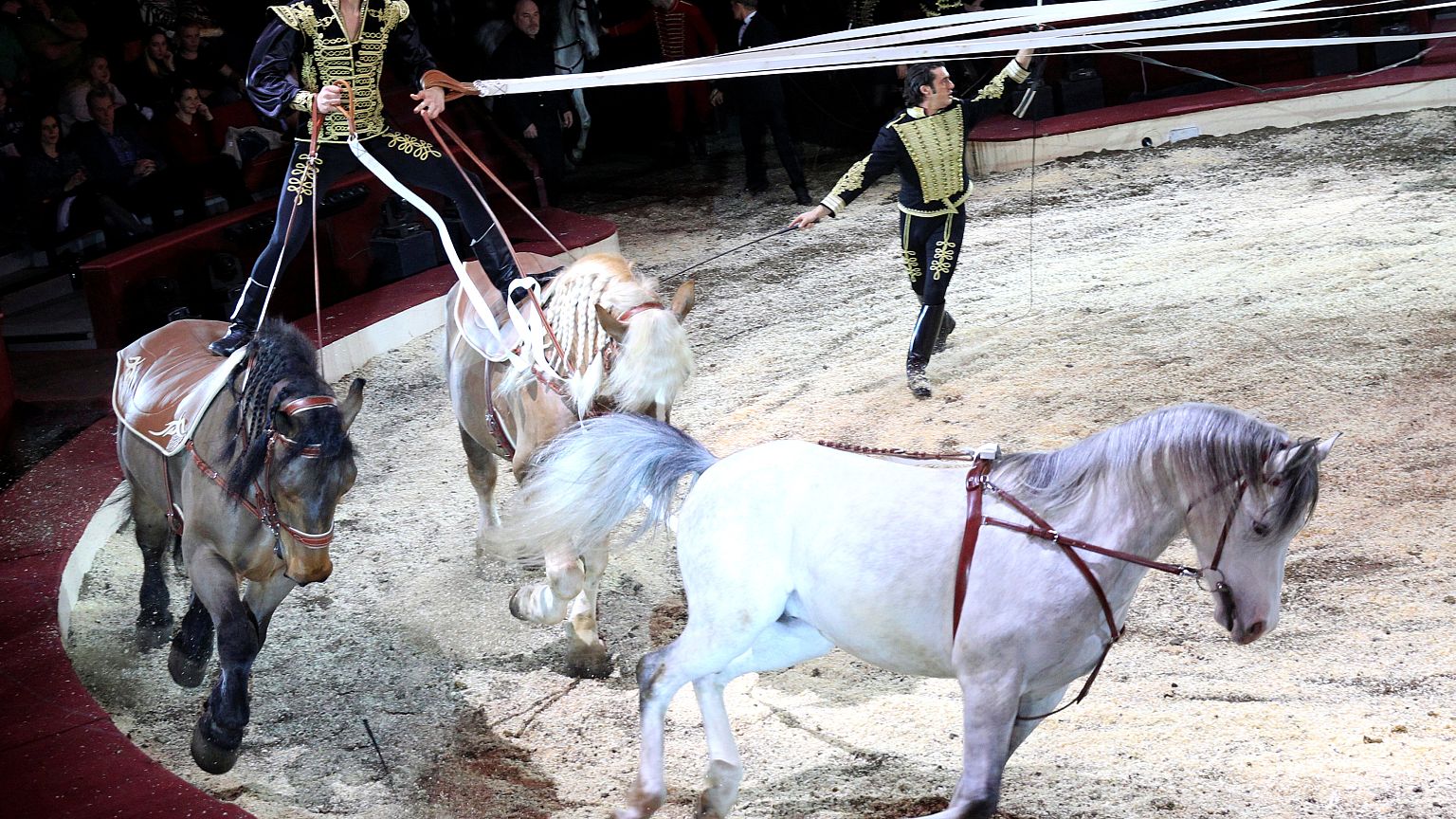 Budapester Festival feiert 250 Jahre Zirkus