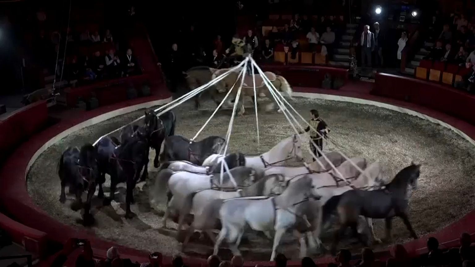 Budapeşte Uluslararası Sirk Festivali başladı