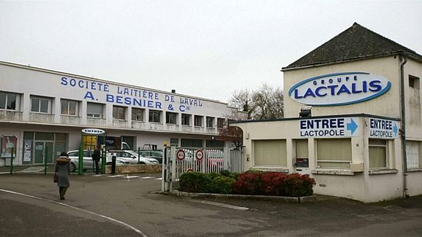 Lactalis: первые случаи заражения в Испании и Греции Lactalis: первые случаи заражения в Испании и Греции