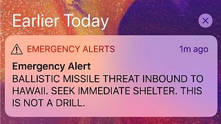 Hawaii did not have ‘reasonable’ safeguards to stop false missile alert, says regulator