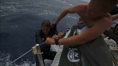 Sailor Alex Gough rescued by a shipmate after falling into the Pacific
