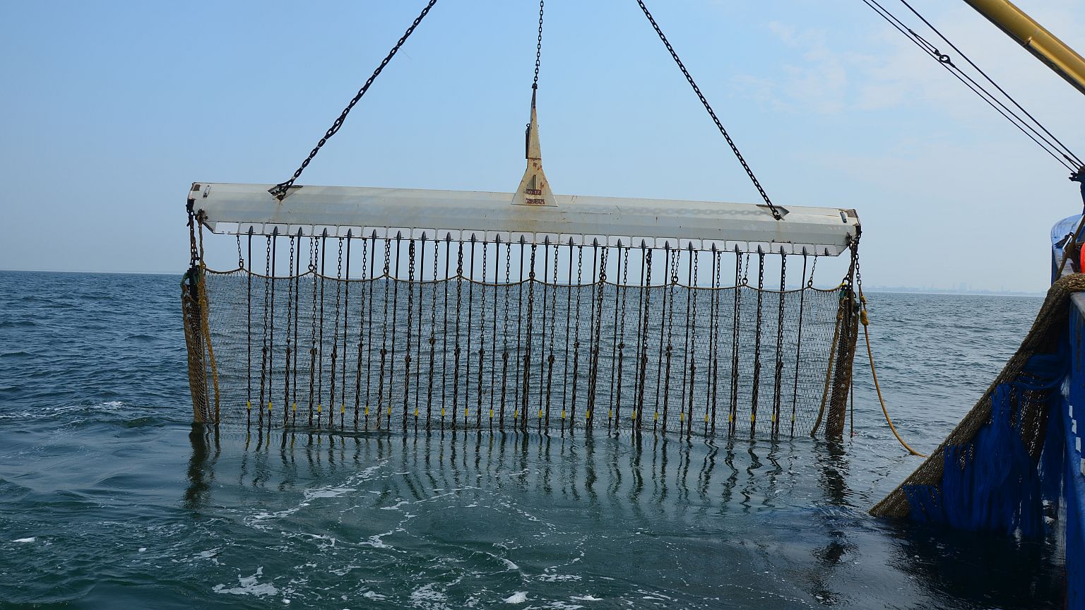 La pesca eléctrica de arrastre ¿Innovación o crimen ecológico?