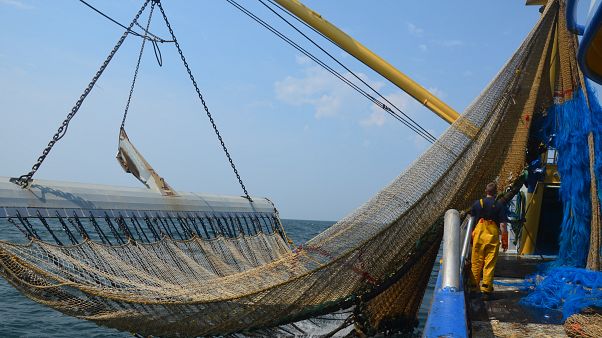 La UE vota sul futuro della controversa "pesca elettrica" La UE vota sul futuro della controversa "pesca elettrica"