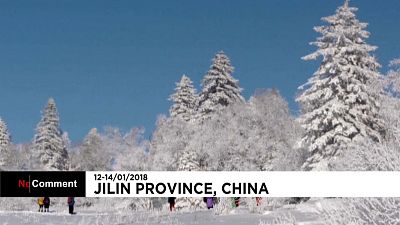 A 'floresta branca' de Jilin