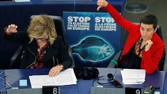 Members of the European Parliament Ska Keller (R) of Germany