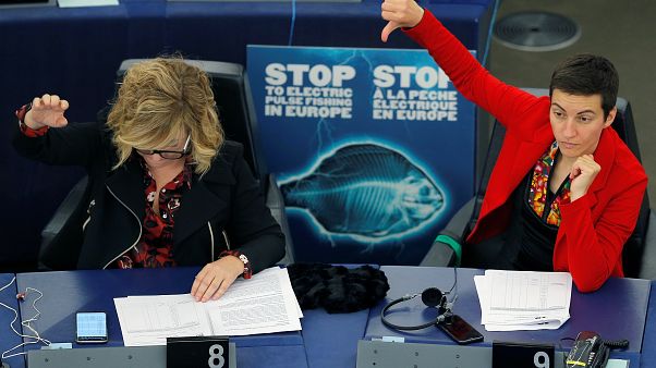 Members of the European Parliament Ska Keller (R) of Germany Members of the European Parliament Ska Keller (R) of Germany