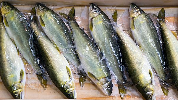 EU Parliament votes to ban electric pulse fishing EU Parliament votes to ban electric pulse fishing