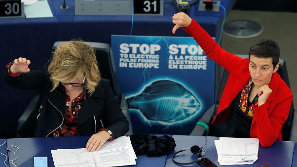 Европарламент проголосовал за запрет электролова рыбы Европарламент проголосовал за запрет электролова рыбы