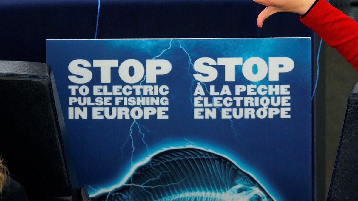 Κατά της αλιείας με χρήση ηλεκτρικών παλμών το Ευρωπαϊκό Κοινοβούλιο