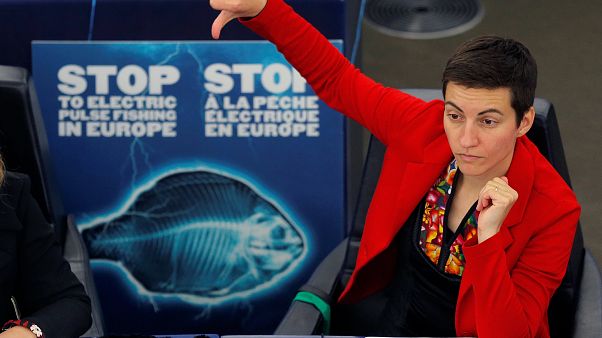 EU-Parlament: Dämpfer für Elektrofischerei EU-Parlament: Dämpfer für Elektrofischerei