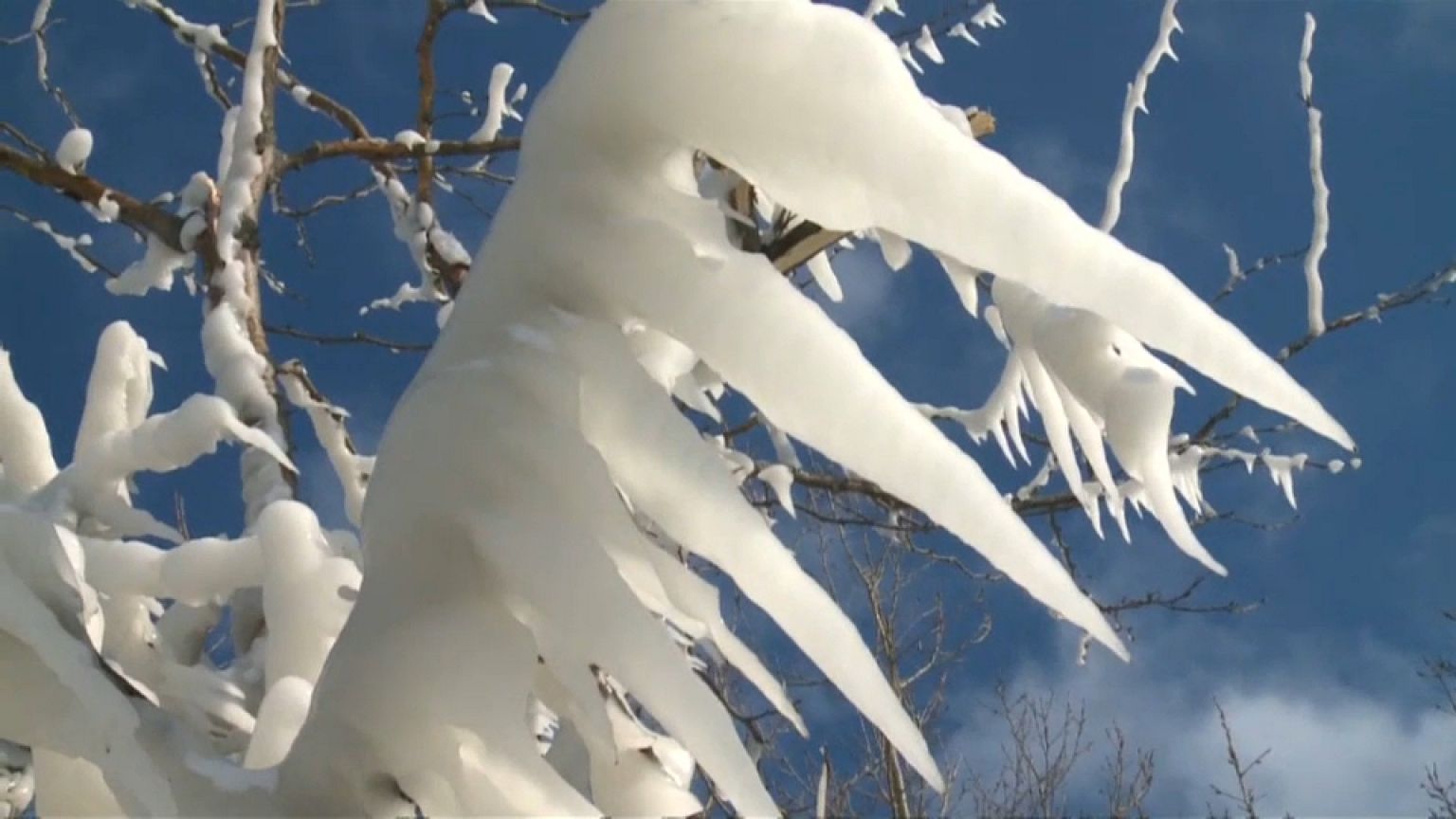 Les bords du lac Michigan se parent de glace 