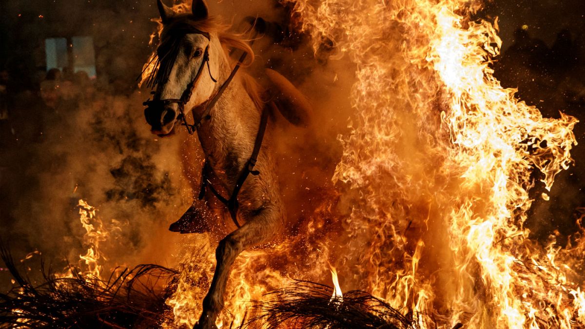  فستیوال اسب و آتش در اسپانیا