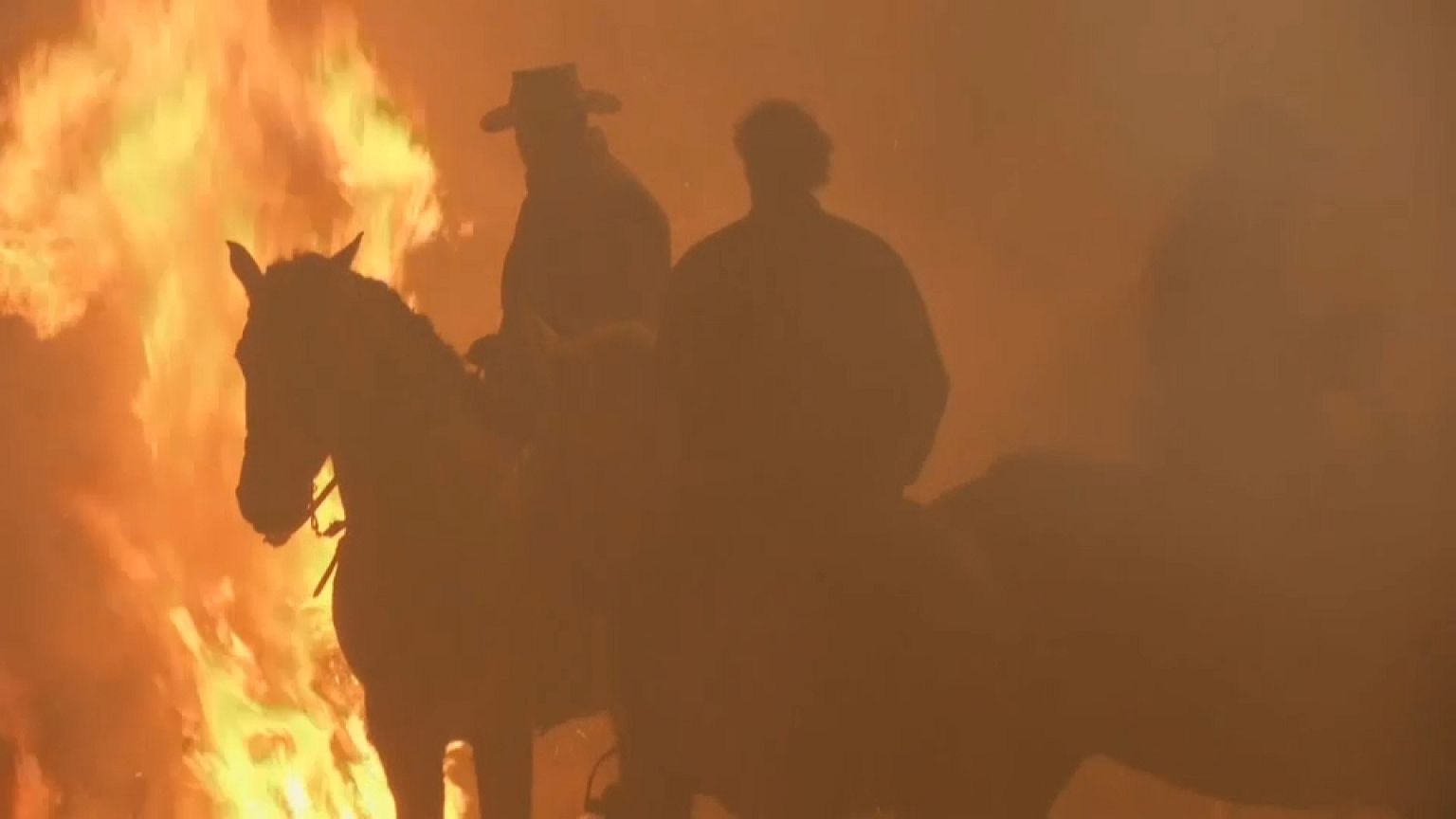 Caballos y hogueras en la noche de San Antón
