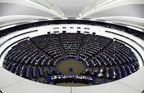 Vita az Európai Parlamentben