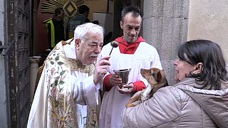 Mascotas y agua bendita en el día de San Antón