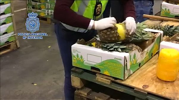 Ananászba rejtett kokain Ananászba rejtett kokain