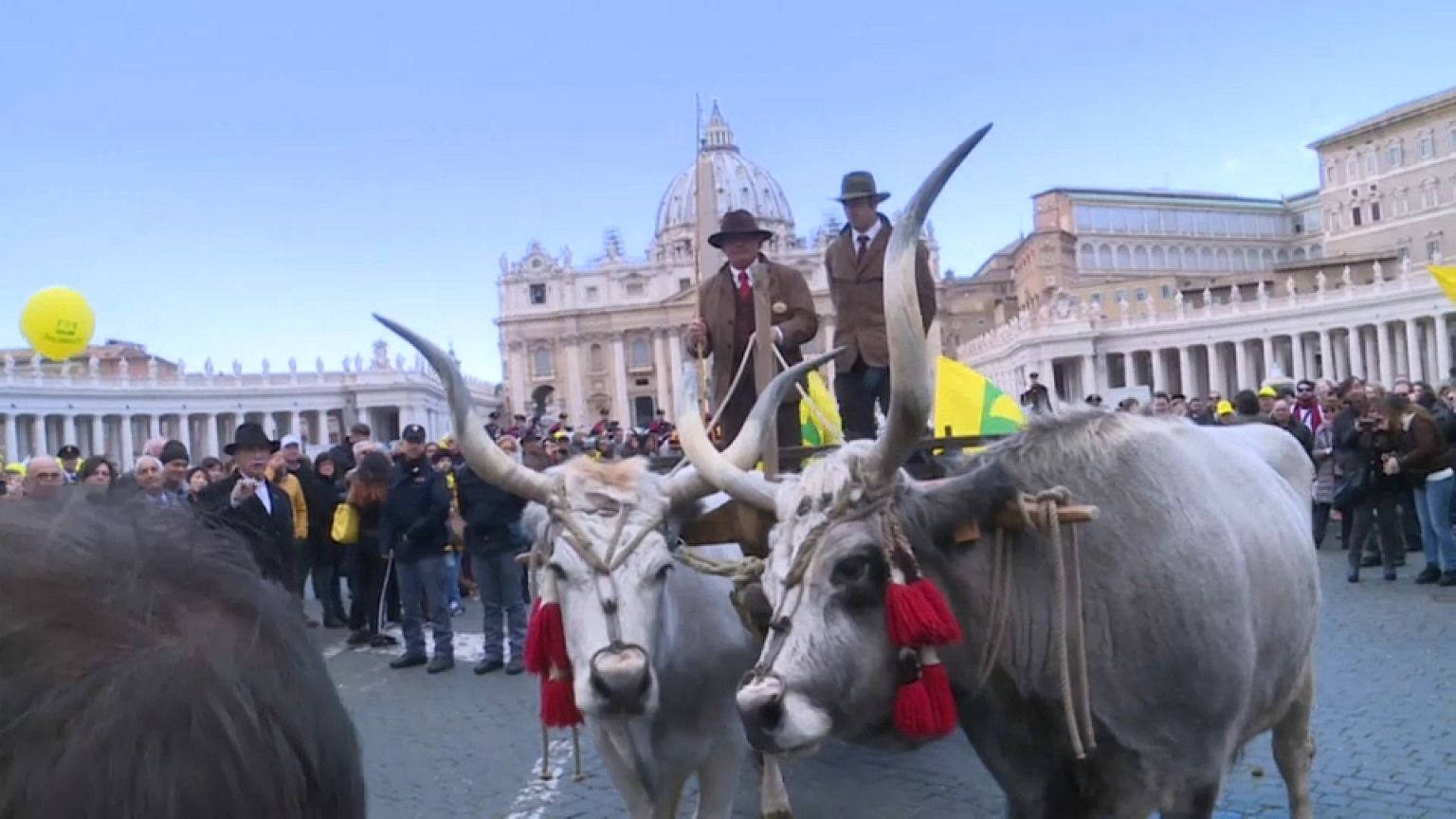 La benedizione degli animali a Piazza San Pietro