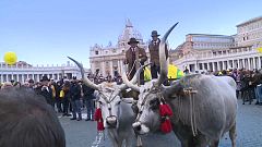 La benedizione degli animali a Piazza San Pietro