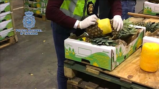 Drogen in Ananas gefunden Drogen in Ananas gefunden