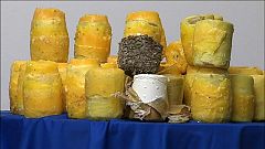 Cilindros de cocaína extraídos de las piñas