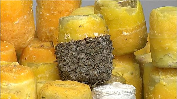 745 kilos de cocaïne dans des ananas ! 745 kilos de cocaïne dans des ananas !