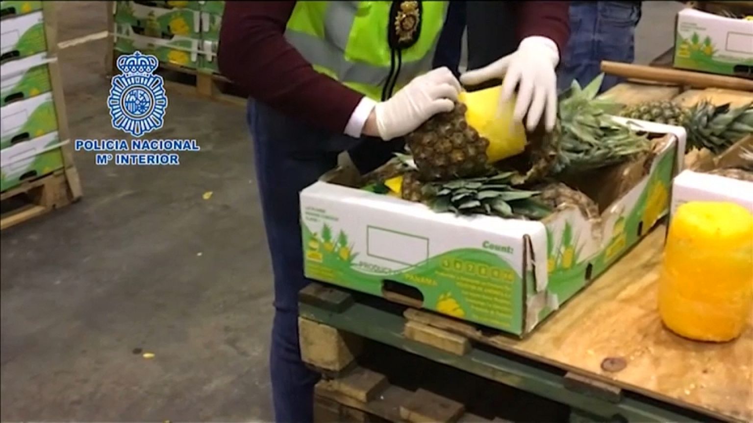 I coni di cocaina ricoperti di cera erano inseriti negli ananas