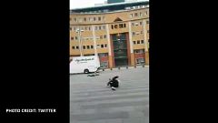 Άμστερνταμ: Όσα παίρνει ο άνεμος!