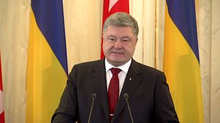 Ukrayna meclisi kritik Donbass yasasını kabul etti