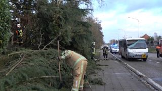 Tempestade Friederike faz sete mortos no centro da Europa