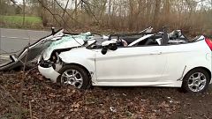 Bilanz nach Orkan "Friederike"
