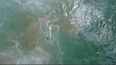 The pair of swimmers grab hold of a flotation device in the sea