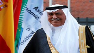 وزير الدولة السعودي إبراهيم العساف