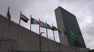 Molestie e stupri negli uffici delle Nazioni Unite