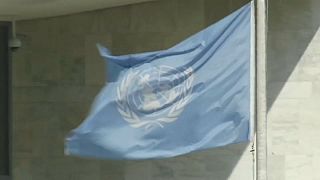 The United Nations flag at the UN's headquarters in New York 