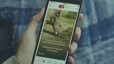 "Sudan" misses out on Tinder as people swipe left on the world's last male White rhino