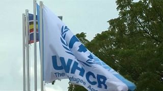 ООН обвиняется в укрывательстве насильников